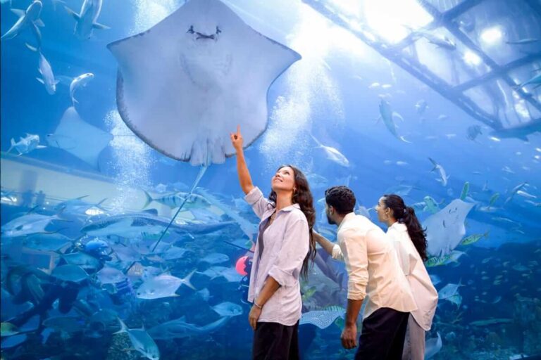 Dubai Aquarium area guide