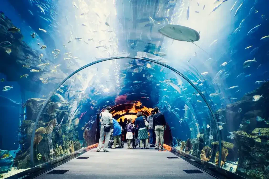 What Is Dubai Aquarium & Underwater Zoo?